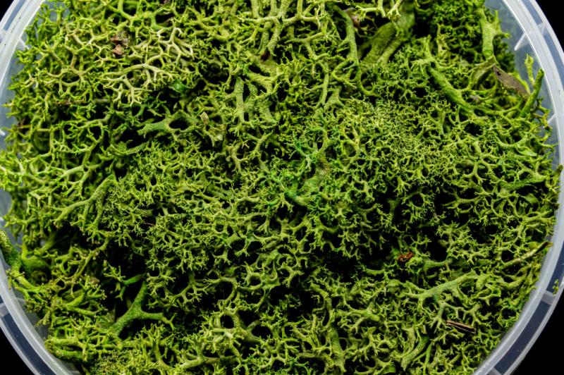 Green Hedge Miniature Basing Material
