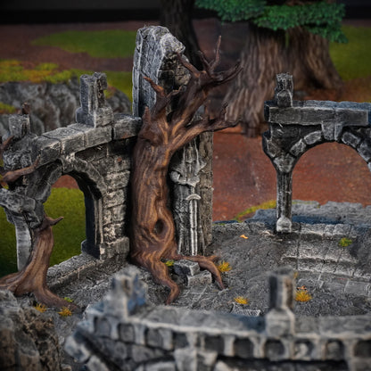 Hilltop Ruin