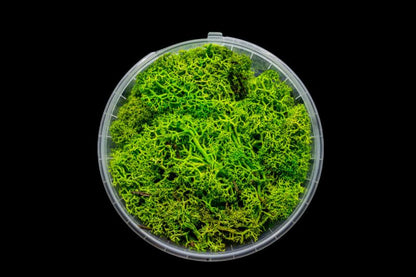 Lush Hedge Miniature Basing Material