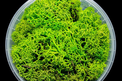 Lush Hedge Miniature Basing Material