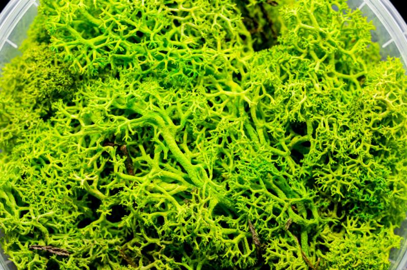 Lush Hedge Miniature Basing Material