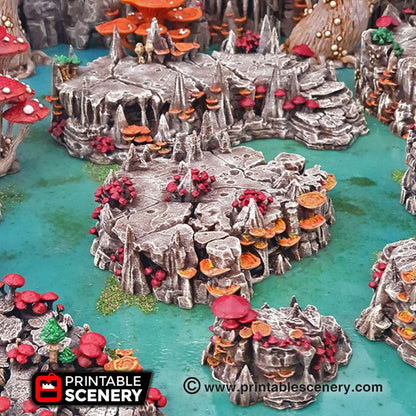 Raised Mushroom Rock Platforms