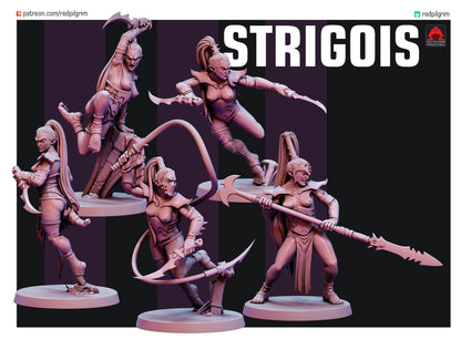 Dark Elf Strigois Squad 1