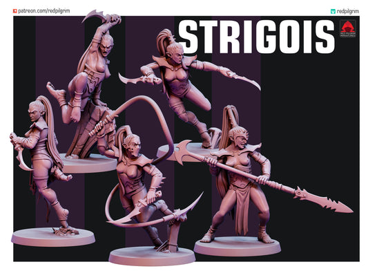 Dark Elf Strigois Squad 1