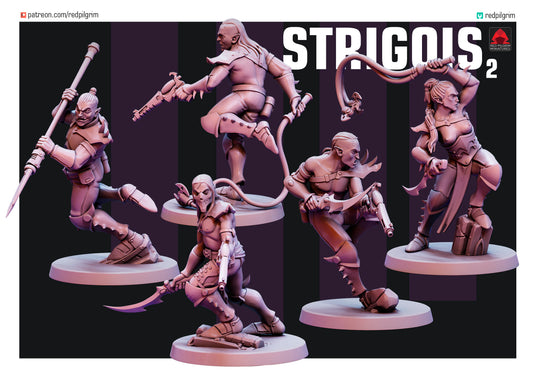 Dark Elf Strigois Squad 2