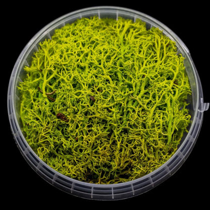 Toxic Hedge Miniature Basing Material