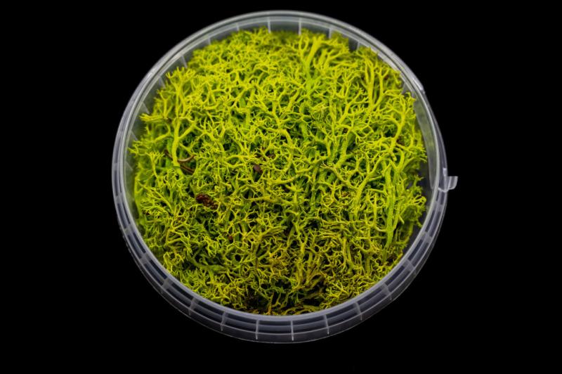 Toxic Hedge Miniature Basing Material