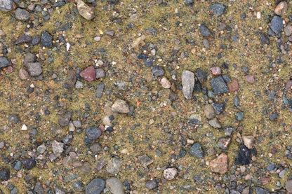 Base Ready Wasteland Soil