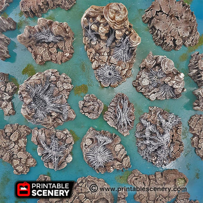 Spider Lair Webbed Rocks