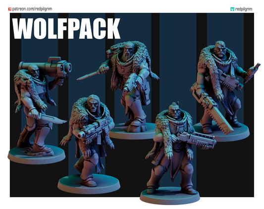 Wolfpack Scouts Squad 1