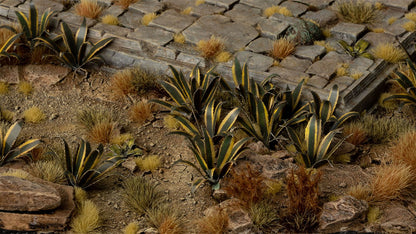Agave - Gamers Grass