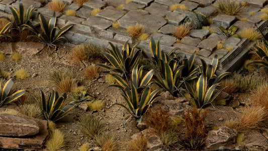 Agave - Gamers Grass