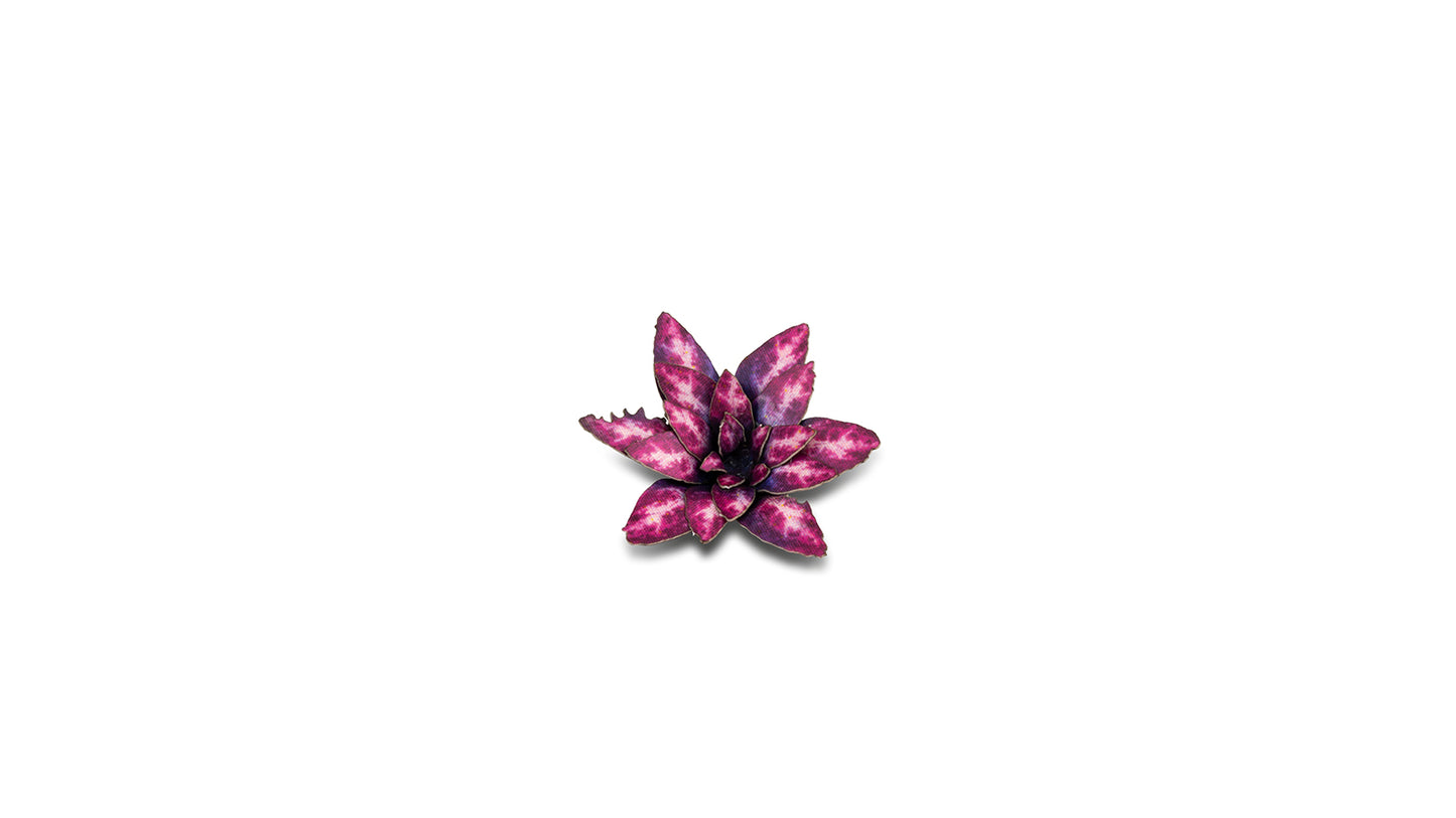 Alien Rosette - Gamers Grass