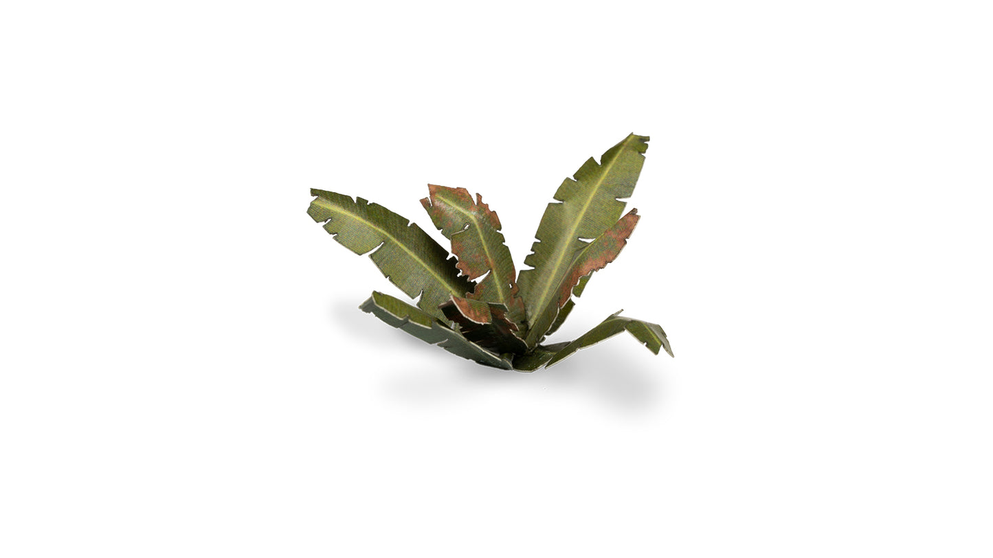 Banana Tree - Gamers Grass