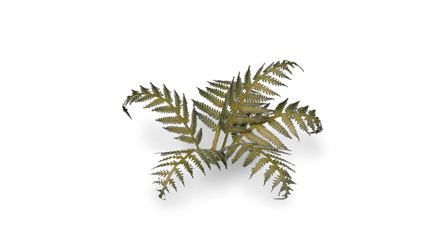 Bracken - Gamers Grass