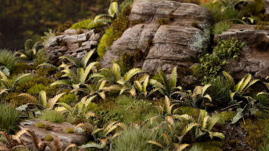 Deer Fern - Gamers Grass