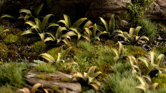 Deer Fern - Gamers Grass