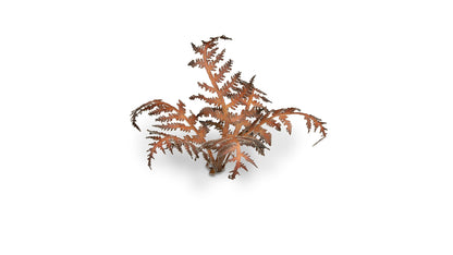 Dry Bracken - Gamers Grass