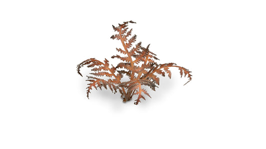 Dry Bracken - Gamers Grass