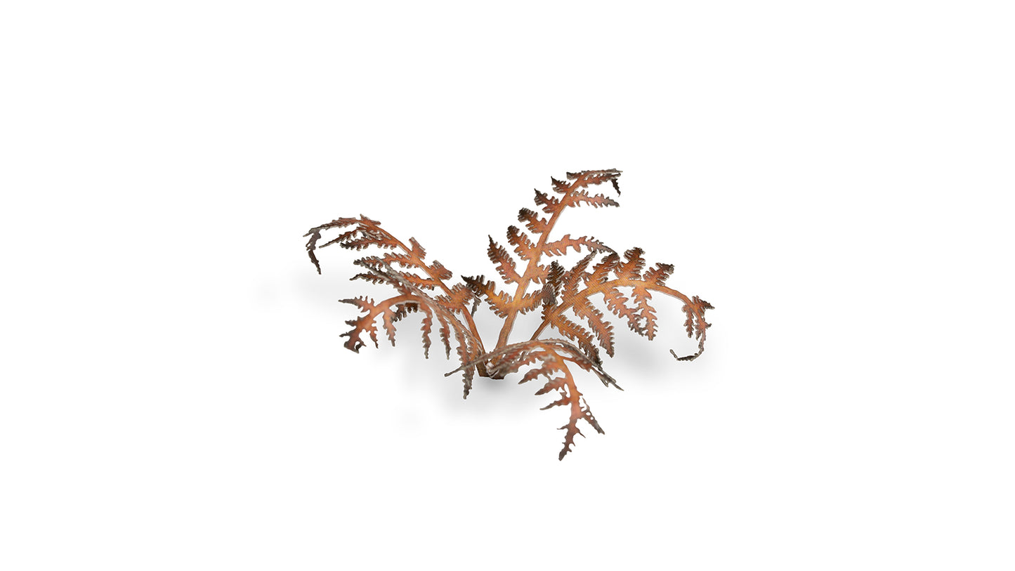 Dry Bracken - Gamers Grass