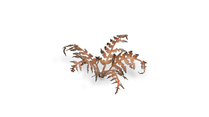 Dry Bracken - Gamers Grass