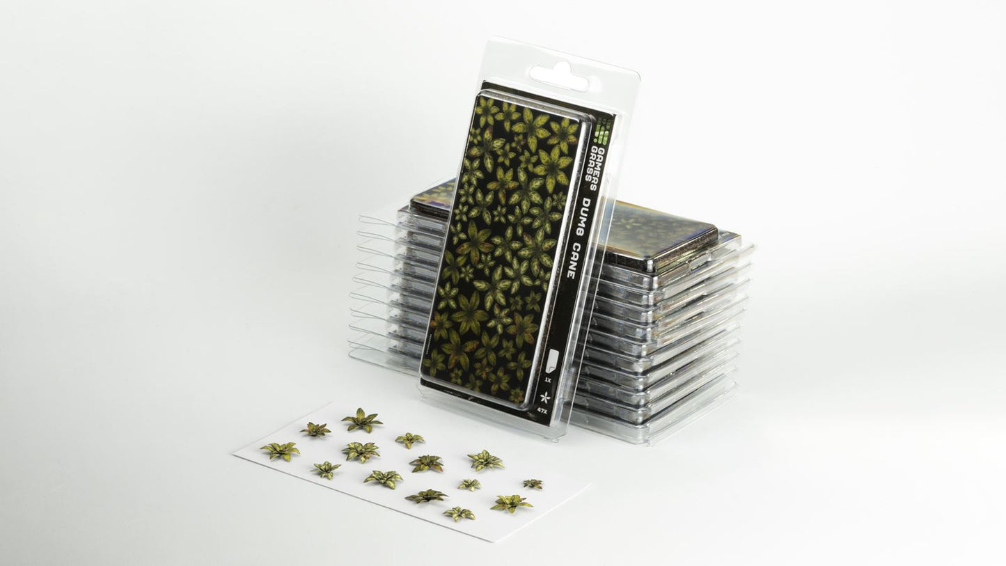 Dumb Cane - Gamers Grass