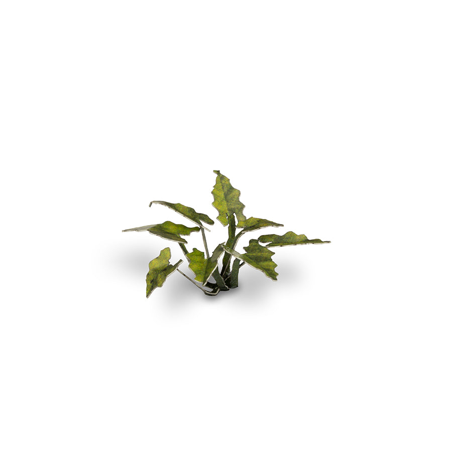 Lords-and-Ladies - Gamers Grass
