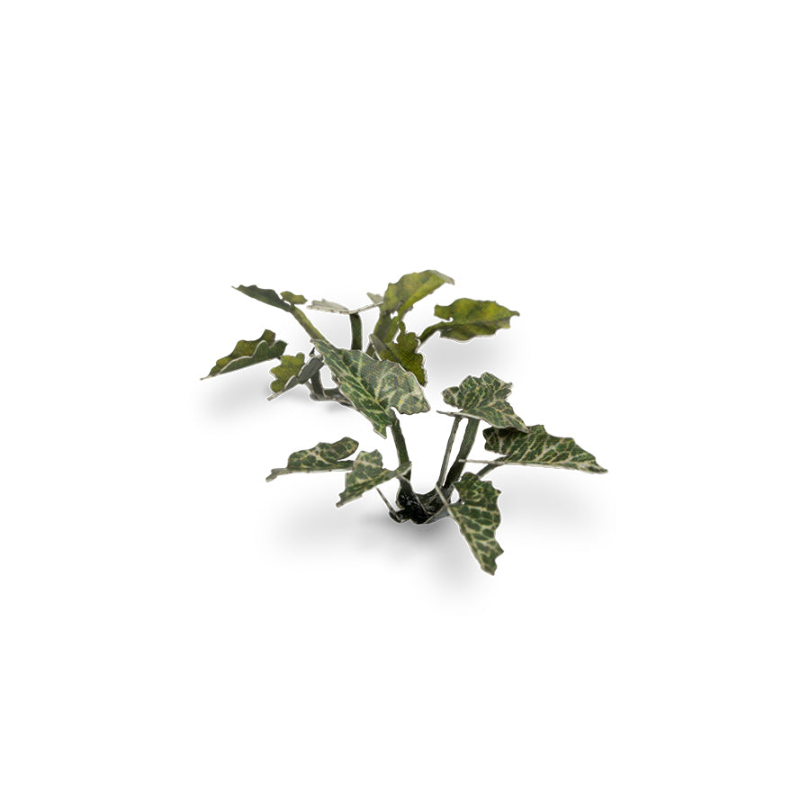 Lords-and-Ladies - Gamers Grass