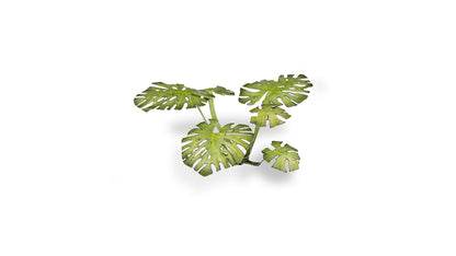 Monstera - Gamers Grass