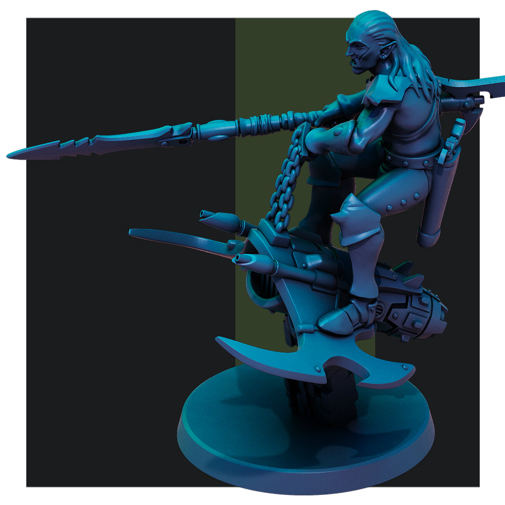 Dark Elf Nightwings