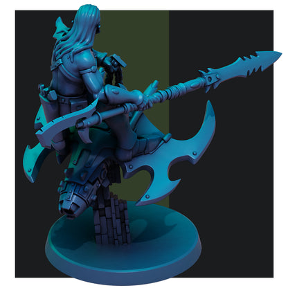 Dark Elf Nightwings