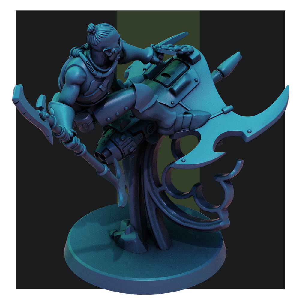Dark Elf Nightwings