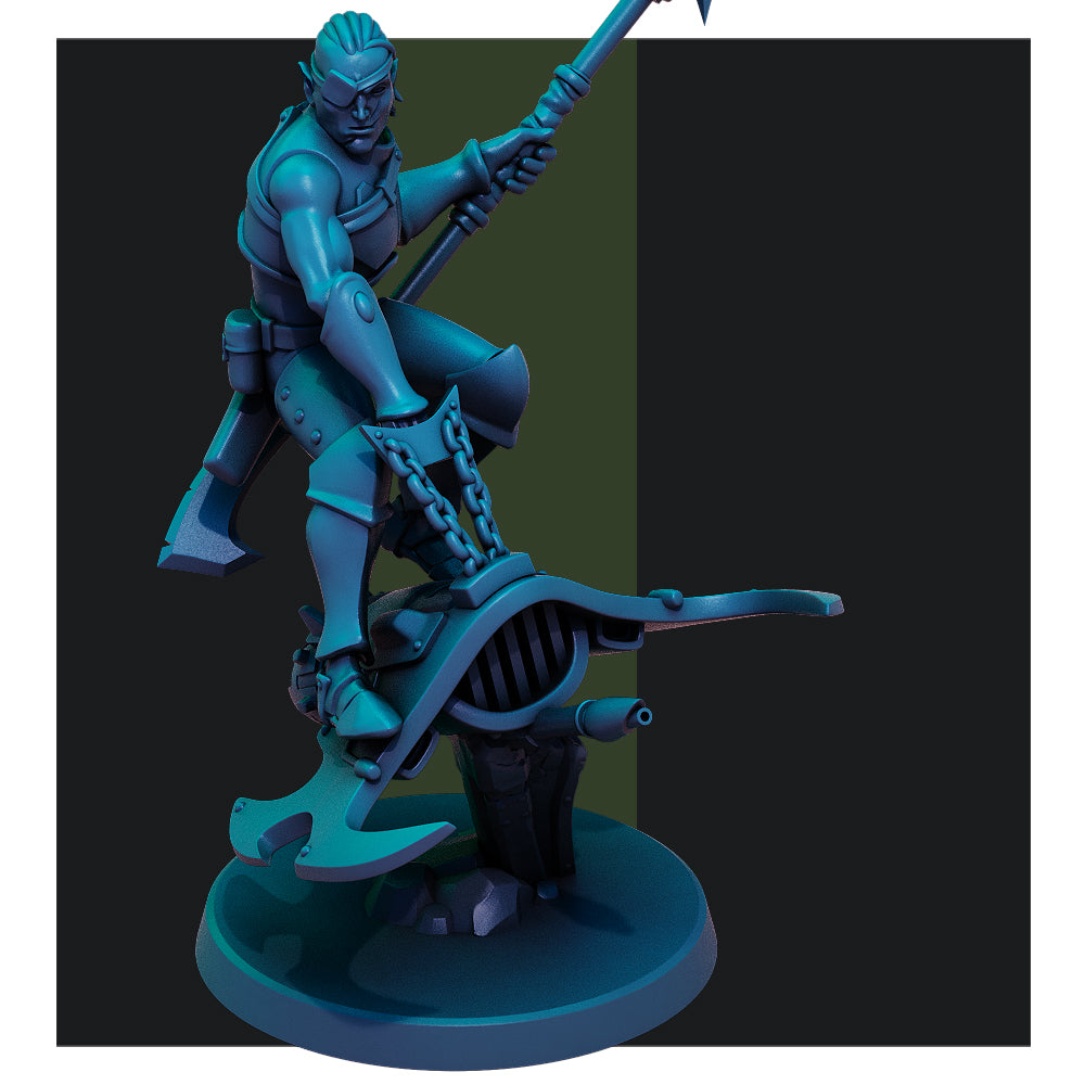 Dark Elf Nightwings