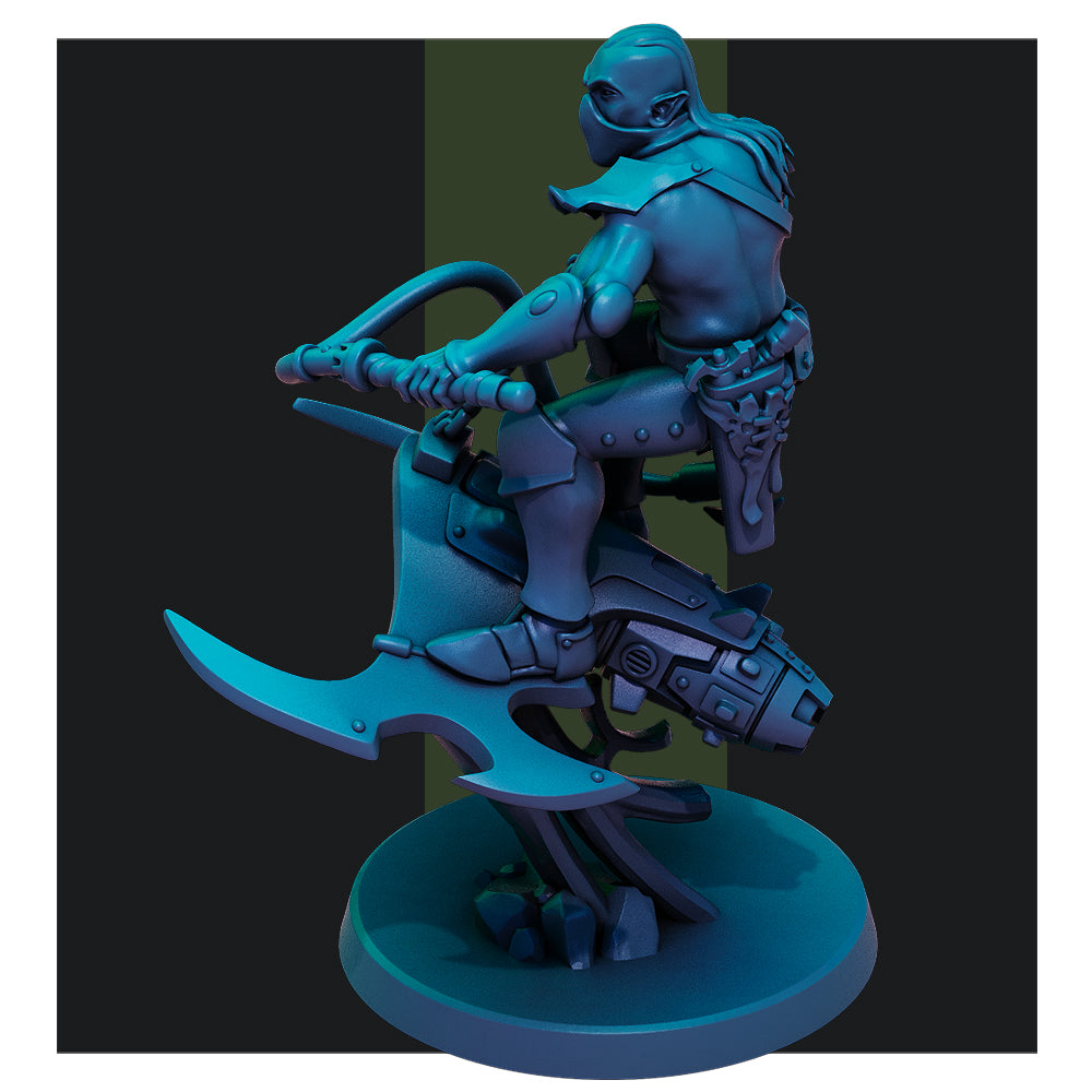 Dark Elf Nightwings