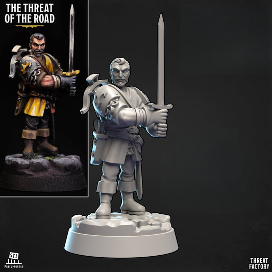 Veteran Human Fighter - 28mm D&D Miniature